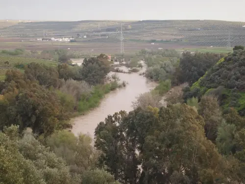 El-rio-Guadalquivir-por-la-Huerta-del-Carmen-con-San-Julian-al-fondo
